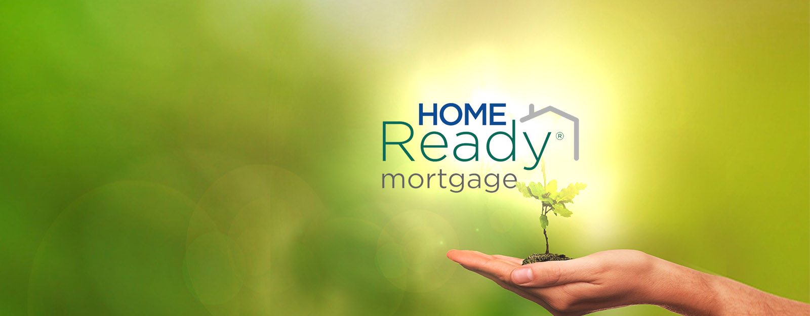 Image of a hand holding a tree seedling in its palm with the Home Ready mortgage logo. 