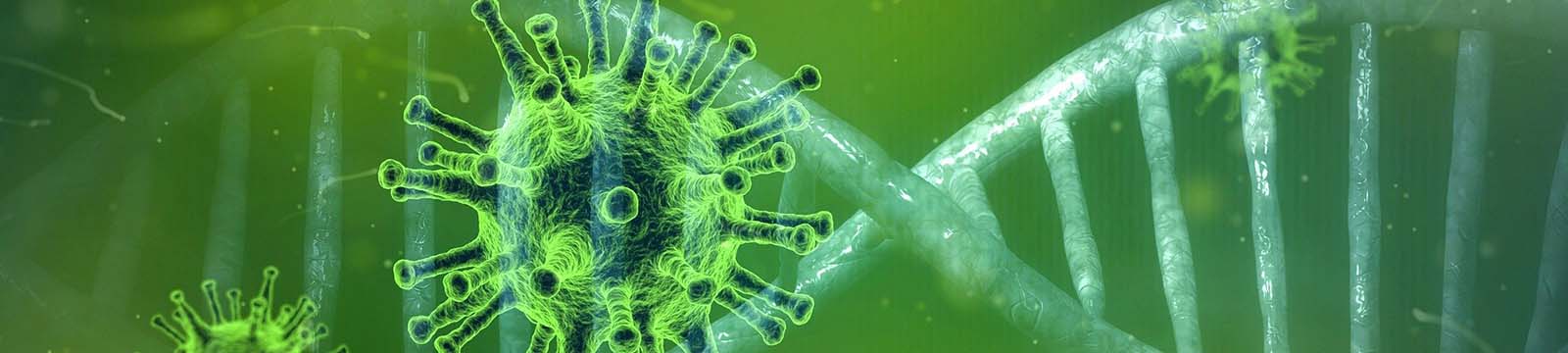 Image of microscopic close up of a germ.