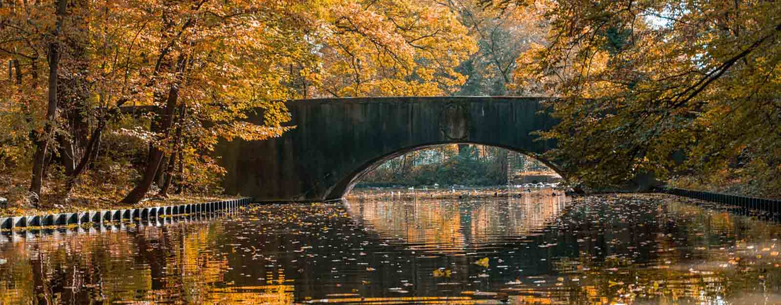 Photo of a concrete arched bridge surrounded by trees in the Fall.