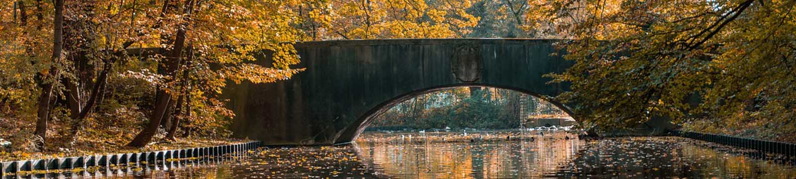 Photo of a concrete arched bridge surrounded by trees in the Fall.