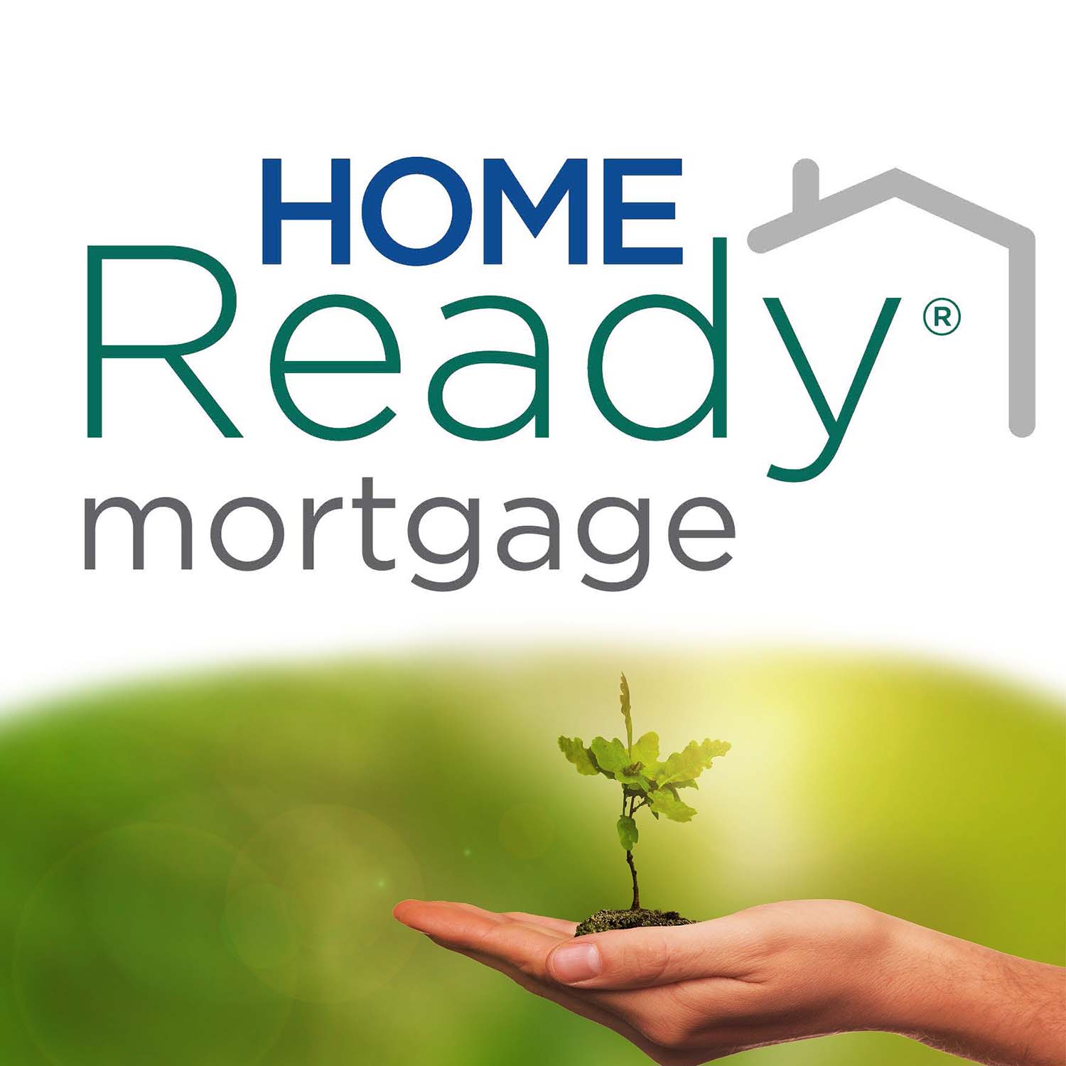 Image of a hand holding a tree seedling in its palm with the Home Ready mortgage logo. 