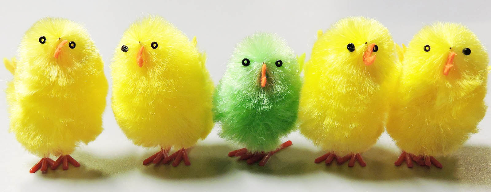 Row of five decorative chicks. Center chick is colored green while the rest are yellow.
