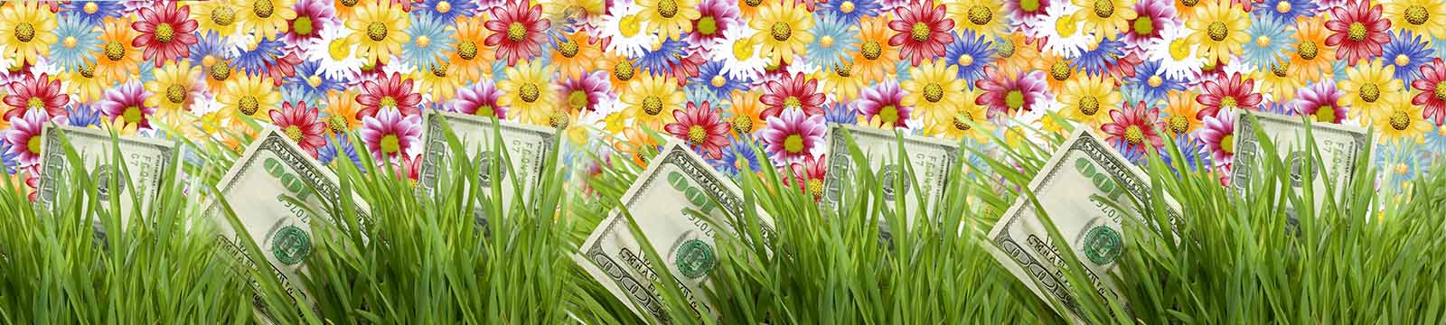 Graphic of 100 dollar bills showing through tall grass with a collage of colorful daises in the background.