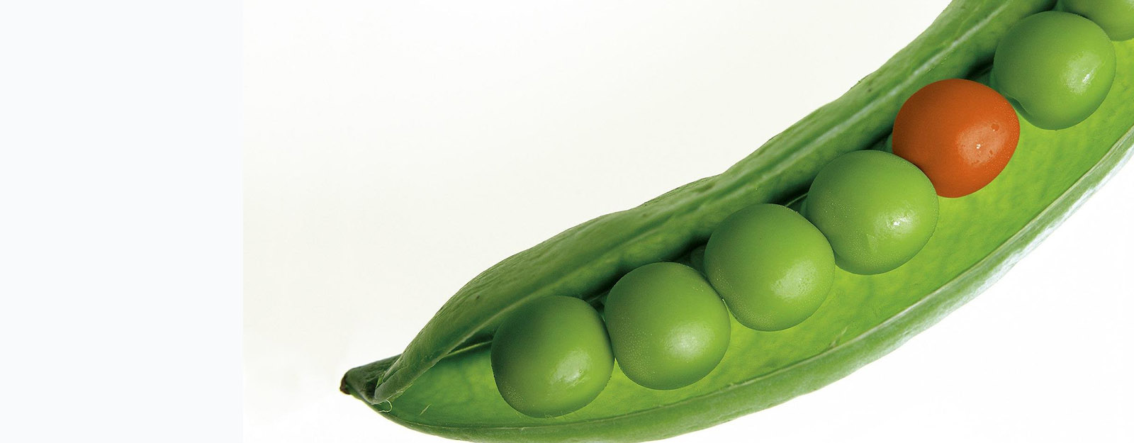 Image of peas in a pod. All peas are green with the exception of one red pea. Union State Bank commercial business services.